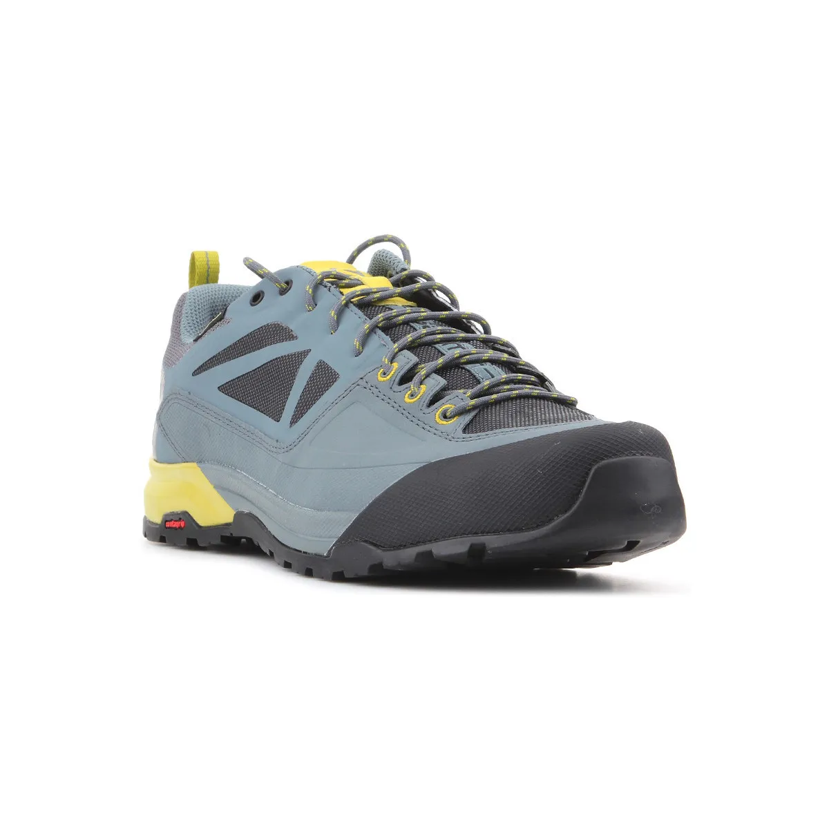 Trekking shoes  X Alp SPRY GTX 401621